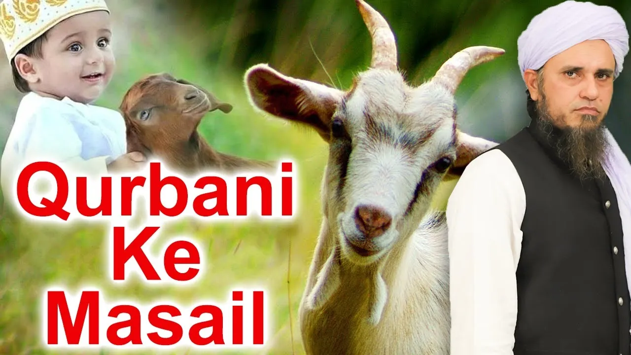 Qurbani K Masail |  Mufti Tariq Masood Speeches